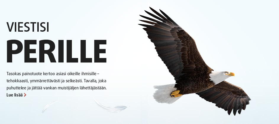 Viestisi perille